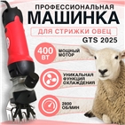 GTS 2025